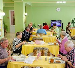 Центр для больных деменцией «Пушкино»